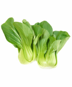 BOK CHOY MUE 1PACK<br>상하이 박초이 뮤  1팩