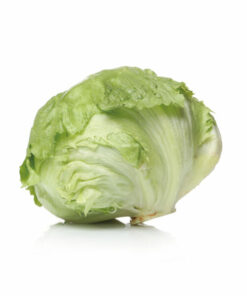 GREEN LETTUCE 1EA<br>양상추 1EA