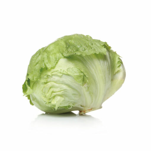 GREEN LETTUCE 1EA<br>양상추 1EA