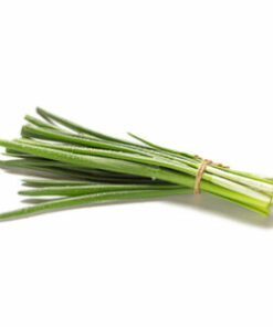 GREEN ONION (2 bundle)<br>파 2개