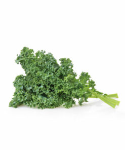 KALE GREEN (1bundle)케일 1단