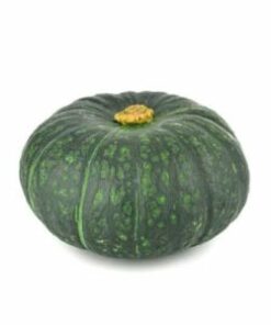 SQUASH, KABOCHA 1EA (S)<br>단호박 1개 (S)