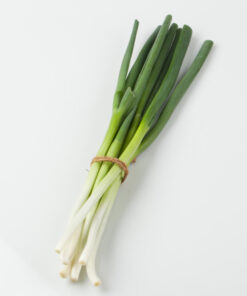 Big Green Onion<br>대파 2대