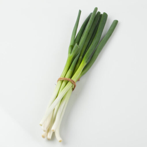 Big Green Onion<br>대파 2대