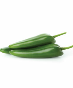 SERRANO PEPPER 1PACK세라뇨 고추 1팩