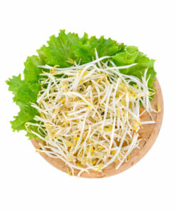 BEAN SPROUTS 450~480G<br>숙주 450~480G