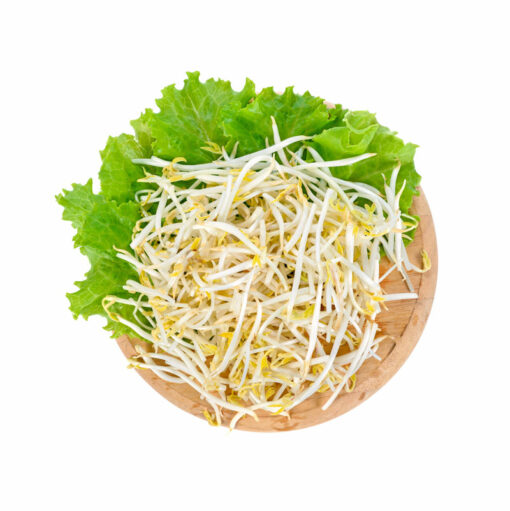 BEAN SPROUTS 450~480G<br>숙주 450~480G