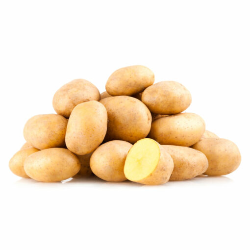 POTATOES, YELLOW (YUKON GOLD)<br>감자, 노란 (5LB) CANADA