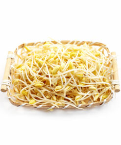 SOYBEAN SPROUTS 600G콩나물, 그린 녹차 600G
