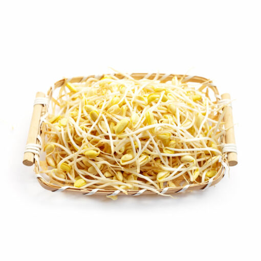 SOYBEAN SPROUTS 600G콩나물, 그린 녹차 600G