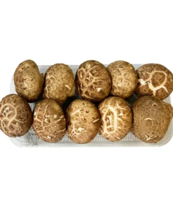 SHIITAKE MUSHROOM 8-10EA PACK<br>표고버섯 8-10개 PACK