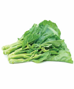 GAI LAN<br>가이란 300G