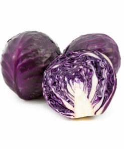 RED CABBAGE 1EA적 양배추 1EA