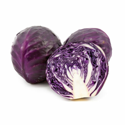 RED CABBAGE 1EA적 양배추 1EA